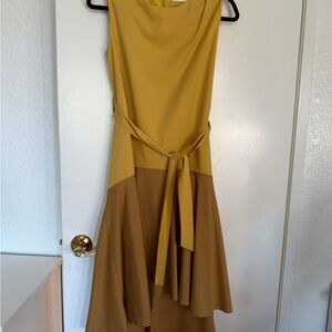 Sleeveless Mustard and Brown Colorblock Belted Dress